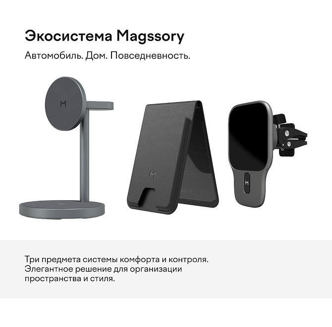 Экосистема Magssory
